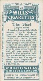 1910 Wills's Cigarettes Fish & Bait #25 Shad Back