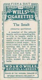 1910 Wills's Cigarettes Fish & Bait #29 Smelt Back