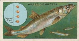 1910 Wills's Cigarettes Fish & Bait #29 Smelt Front