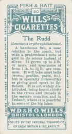 1910 Wills's Cigarettes Fish & Bait #30 Rudd Back