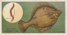 1910 Wills's Cigarettes Fish & Bait #31 Flounder Front