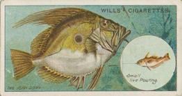 1910 Wills's Cigarettes Fish & Bait #37 John Dory Front