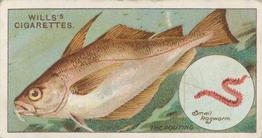 1910 Wills's Cigarettes Fish & Bait #39 Pouting Front