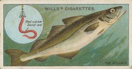 1910 Wills's Cigarettes Fish & Bait #41 Pollack Front