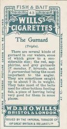 1910 Wills's Cigarettes Fish & Bait #43 Gurnard Back