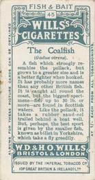 1910 Wills's Cigarettes Fish & Bait #45 Coalfish Back