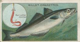 1910 Wills's Cigarettes Fish & Bait #45 Coalfish Front