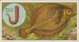 1910 Wills's Cigarettes Fish & Bait #46 Dab Front