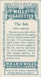 1910 Wills's Cigarettes Fish & Bait #47 Sole Back