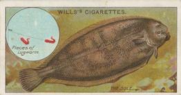 1910 Wills's Cigarettes Fish & Bait #47 Sole Front