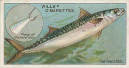 1910 Wills's Cigarettes Fish & Bait #49 Mackerel Front