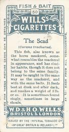 1910 Wills's Cigarettes Fish & Bait #50 Scad Back