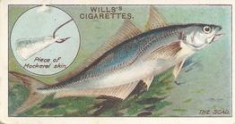 1910 Wills's Cigarettes Fish & Bait #50 Scad Front