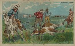 1888 W. Duke, Sons & Co. Cowboy Scenes (N105) #NNO Branding A Steer Front