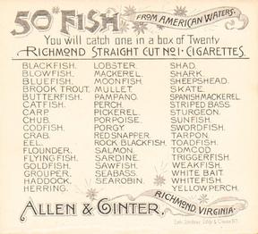 1889 Allen & Ginter 50 Fish from American Waters (N39) #NNO Blowfish Back