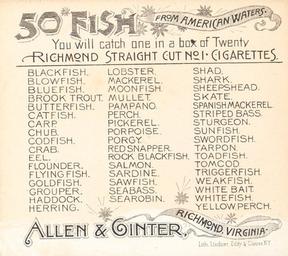 1889 Allen & Ginter 50 Fish from American Waters (N39) #NNO Chub Back
