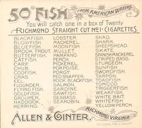 1889 Allen & Ginter 50 Fish from American Waters (N39) #NNO Goldfish Back