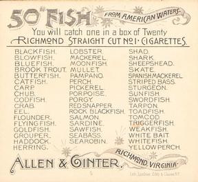 1889 Allen & Ginter 50 Fish from American Waters (N39) #NNO Pampano Back