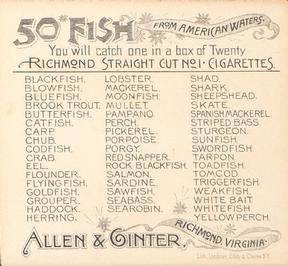 1889 Allen & Ginter 50 Fish from American Waters (N39) #NNO Perch Back