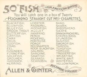 1889 Allen & Ginter 50 Fish from American Waters (N39) #NNO Porpoise Back