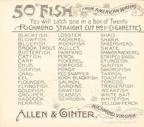 1889 Allen & Ginter 50 Fish from American Waters (N39) #NNO Whitefish Back