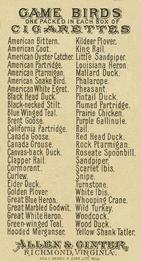 1889 Allen & Ginter Game Birds (N13) #NNO American Bittern Back