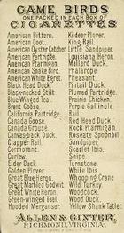 1889 Allen & Ginter Game Birds (N13) #NNO American Partridge Back