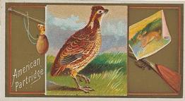 1889 Allen & Ginter Game Birds (N13) #NNO American Partridge Front