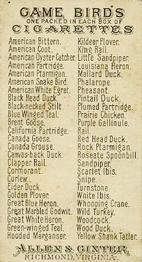 1889 Allen & Ginter Game Birds (N13) #NNO American Ptarmigan Back
