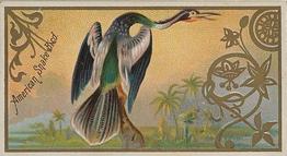 1889 Allen & Ginter Game Birds (N13) #NNO American Snake Bird Front