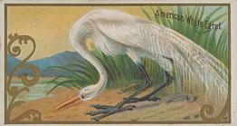1889 Allen & Ginter Game Birds (N13) #NNO American White Egret Front