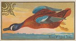 1889 Allen & Ginter Game Birds (N13) #NNO Blue Winged Teal Front
