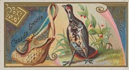 1889 Allen & Ginter Game Birds (N13) #NNO Canada Grouse Front