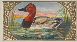 1889 Allen & Ginter Game Birds (N13) #NNO Canvas Back Duck Front