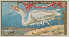 1889 Allen & Ginter Game Birds (N13) #NNO Great White Heron Front