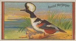 1889 Allen & Ginter Game Birds (N13) #NNO Hooded Merganser Front