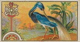 1889 Allen & Ginter Game Birds (N13) #NNO Louisiana Heron Front