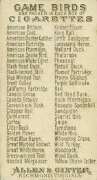 1889 Allen & Ginter Game Birds (N13) #NNO Pintail Duck Back