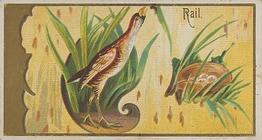 1889 Allen & Ginter Game Birds (N13) #NNO Rail Front