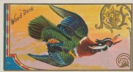 1889 Allen & Ginter Game Birds (N13) #NNO Wood Duck Front