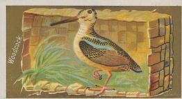 1889 Allen & Ginter Game Birds (N13) #NNO Woodcock Front