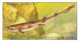 1935 Player's Sea Fishes #4 Lesser-Spotted Dog-Fish Front