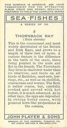 1935 Player's Sea Fishes #8 Thornback Ray Back
