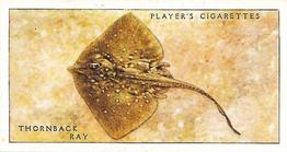 1935 Player's Sea Fishes #8 Thornback Ray Front
