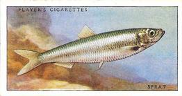 1935 Player's Sea Fishes #11 Sprat Front