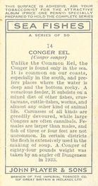1935 Player's Sea Fishes #14 Conger Eel Back
