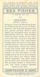 1935 Player's Sea Fishes #15 Gar-Fish Back