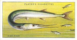 1935 Player's Sea Fishes #15 Gar-Fish Front
