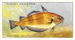 1935 Player's Sea Fishes #19 Pouting Front