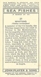 1935 Player's Sea Fishes #20 Whiting Back
